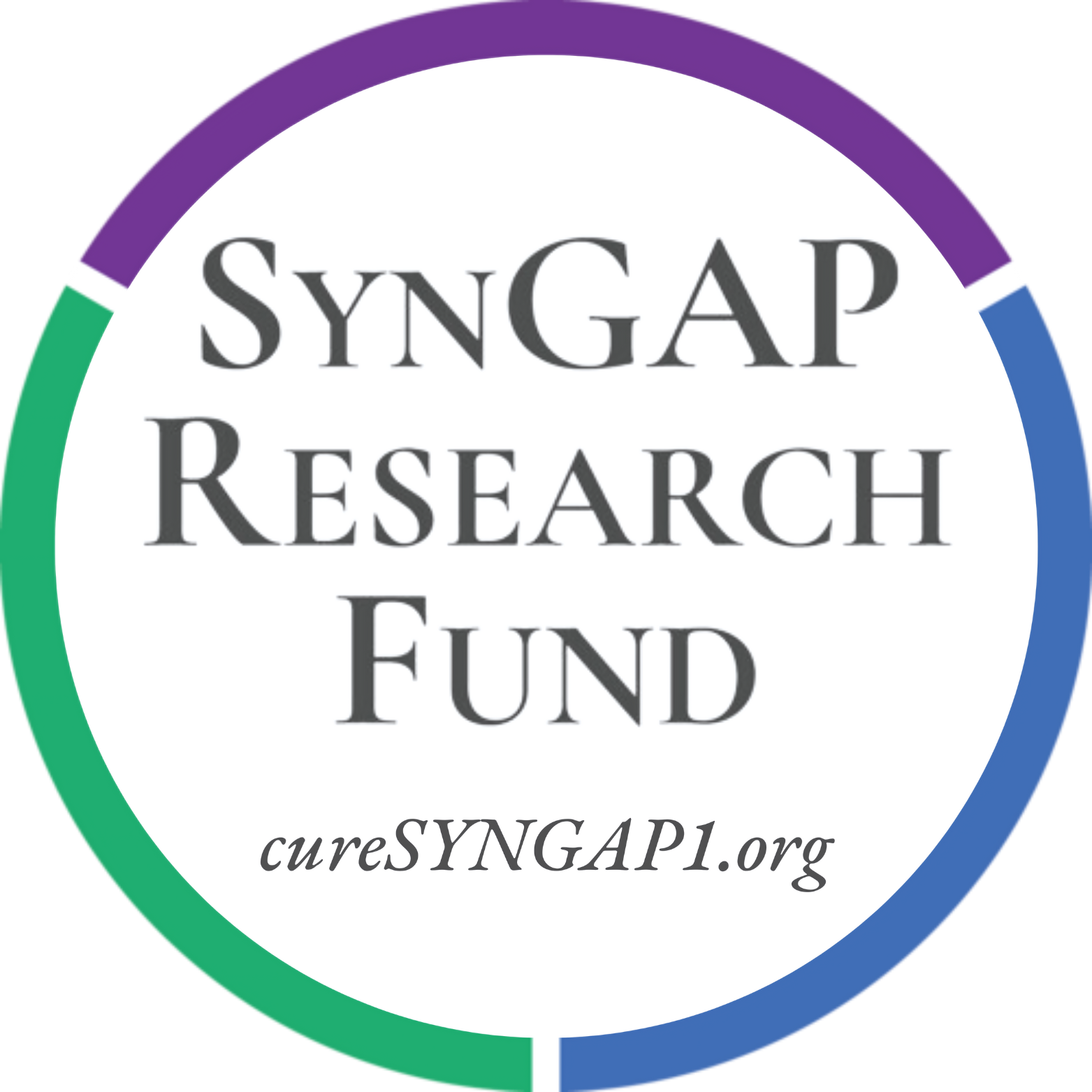 SynGAP Research Fund, Inc. dba cure SYNGAP1 logo