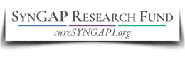 SynGAP Research Fund, Inc. dba cure SYNGAP1 logo